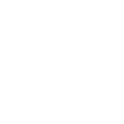 مشکلات ارتپدی